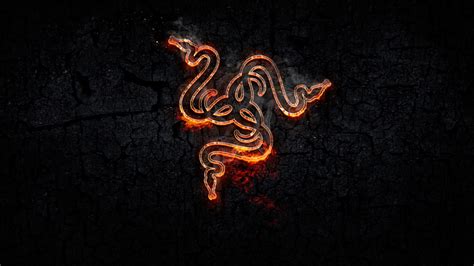 Wallpaper Logo Razer Fire Snake Gaming Resolution1920x1080 Wallpx