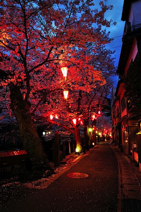 Red Autumn Night Japan Nature Pictures Cool Pictures Beautiful