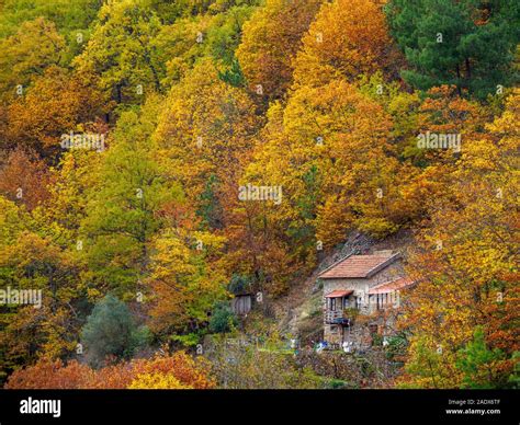 House Isolated Countryside Hi Res Stock Photography And Images Alamy
