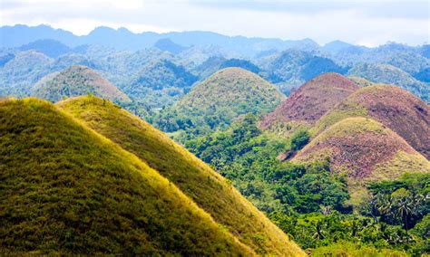Guide To The Chocolate Hills In Bohol Philippines How To Visit