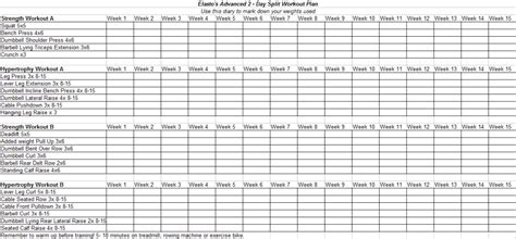 Elastos Advanced 2 Day Split Workout Plan — My Workout Plans