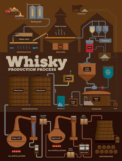 The Whisky Distillation Process In One Simple Infographic The Whiskey
