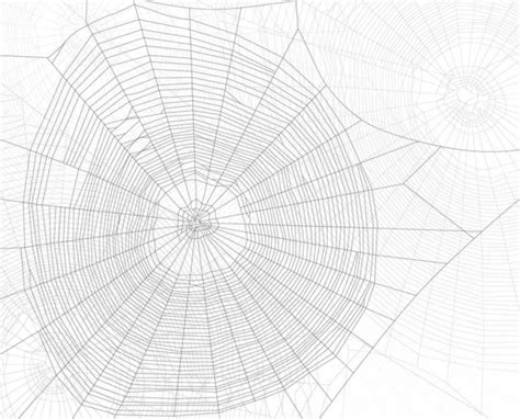 Grey Spider Web Background — Stock Vector © Drpas 24187739