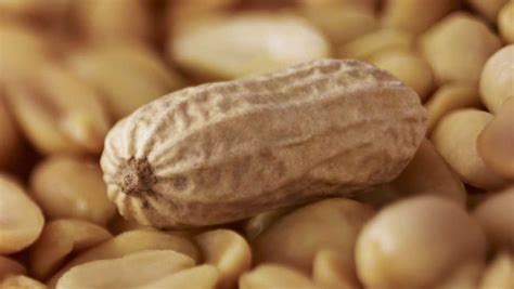Eating Peanuts May Help Fight Cardiovascular Disease