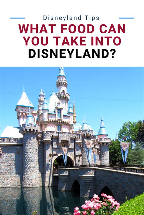 I always like to bring a little food and water with me. Can You Bring Food Into Disneyland? | Disneyland tips ...