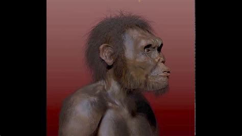 At the time, researchers unearthed more than 1,500. Homo naledi Movie - YouTube