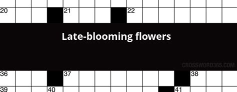 Awesome Late Blooming Flower Crossword Clue And View Crossword