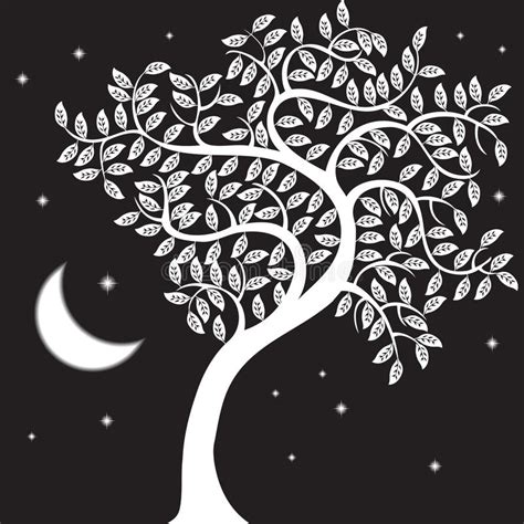 Day And Night Tree Stock Vector Illustration Of Calm 8167694