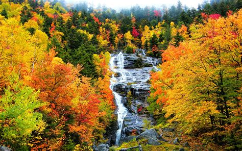 Autumn Forest Cliff Waterfall Wallpapers Autumn Forest