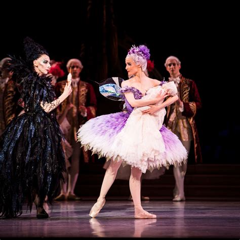The Sleeping Beauty A Lavish Baroque Fairytale In Pictures