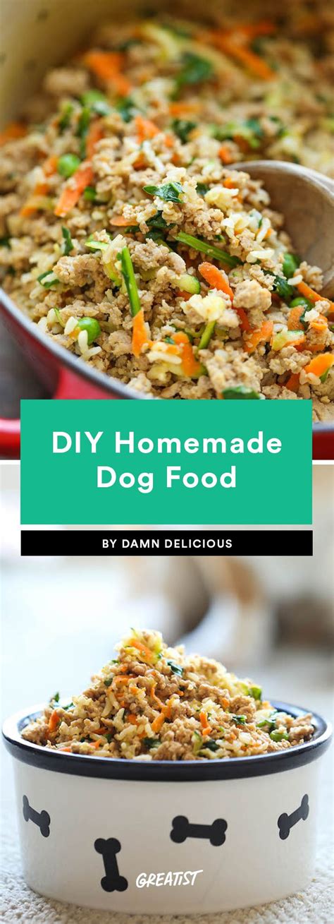 6 Homemade Dog Food Recipes Dog Food Recipes Healthy Dog Food