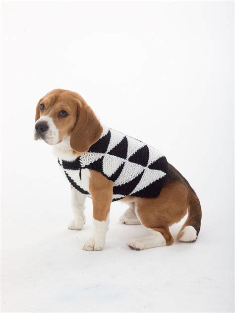 Modernist Dog Sweater In Lion Brand Vannas Choice L32308 Knitting