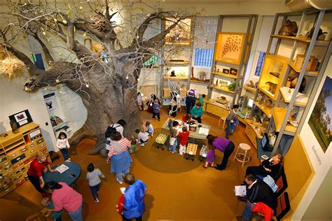 Best Childrens Museums For Families To Visit In New York City