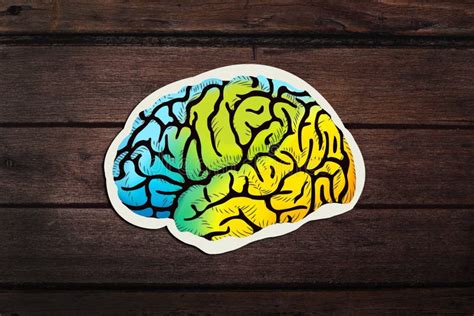 Paper Cut Of Colorful Human Brain Stock Image Image Of Texture Exit