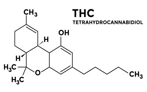 What Is Thc Cannabis Glossary Leafly