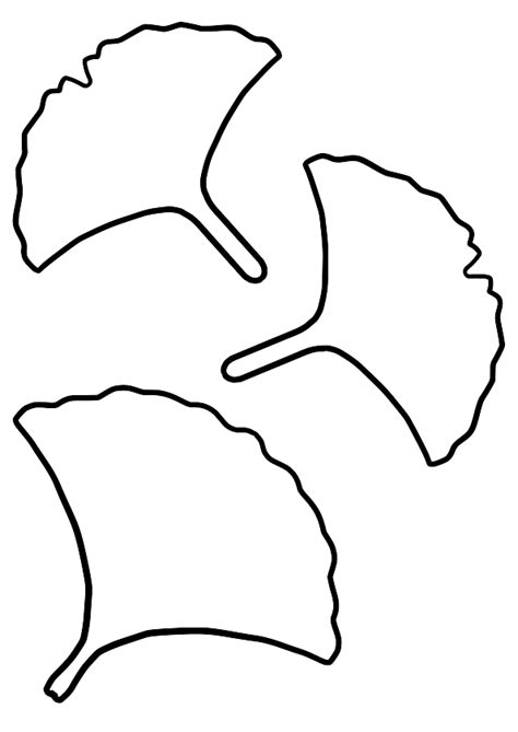 Ginkgo Leaf Coloring Page