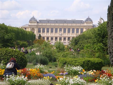 The jardin des plantes (french for garden of the plants), also known as the jardin des plantes de paris (french: jerie artz - artzart: Painting a Paris Scene