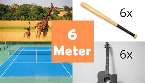 6 Things That Are About 6 Meters M Long