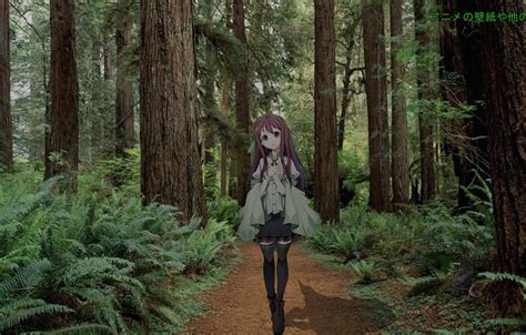 Wallpaper Forest Girl Anime Madskillz Images For Desktop Section