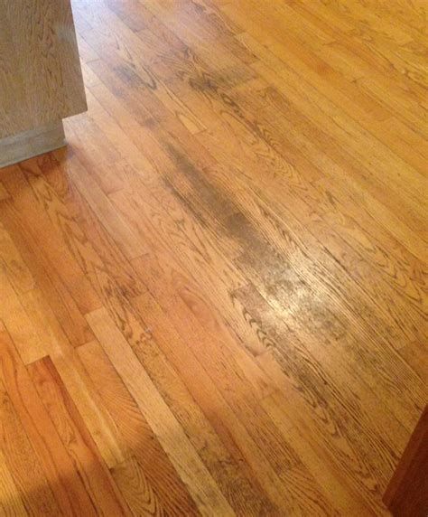 Maybe you would like to learn more about one of these? An Insider's Guide to Hardwood Floor Care
