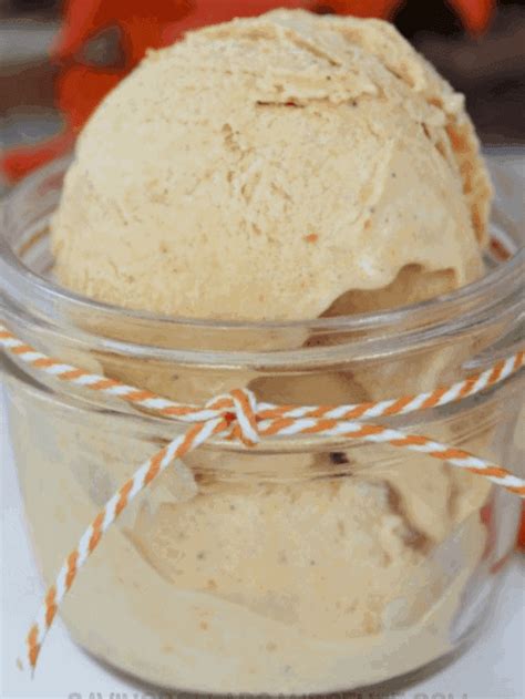 Delicious No Churn Pumpkin Pie Ice Cream Story Saving Dollars And Sense