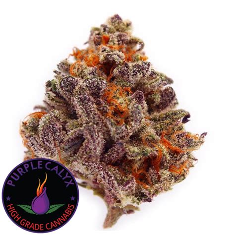 Purple Calyx Leafly