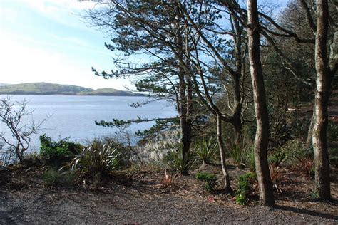 Y Gwyllt Portmeirion The Wild Wood © Alan Fryer Cc By Sa20