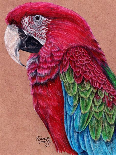 40 Beautiful Bird Drawings And Art Works For Your Inspiration Bird