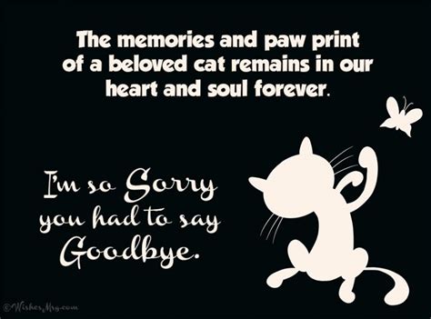 80 Sympathy Messages For The Loss Of A Pet Wishesmsg