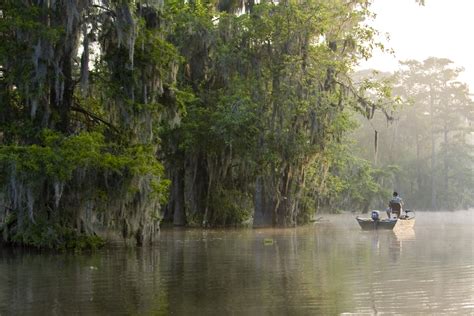 So don't miss out on this bite ! Atchafalaya Basin in Lafayette, Southern Louisiana