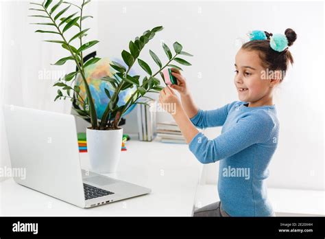 Little Girl Studying Nerd On Laptop Online Stock Photo Alamy