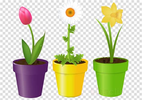 Download High Quality Flower Pot Clipart Transparent Background