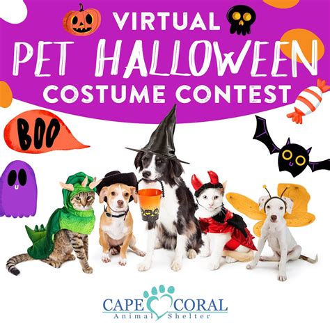 Virtual Pet Halloween Costume Contest Capestyle Magazine Online
