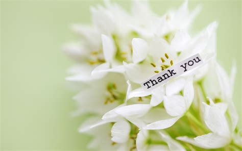 Thank You With Beautiful Flower High Definition Wallpapers Thank You