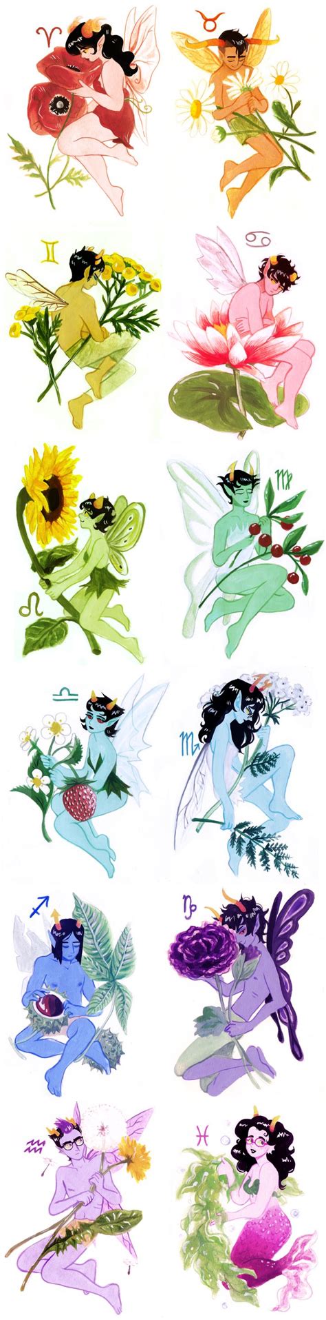 An Image Of Different Colored Flowers On A White Background