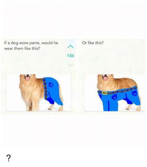 If A Dog Wore Pants Would He Wear Them Like This 186 Or Like This