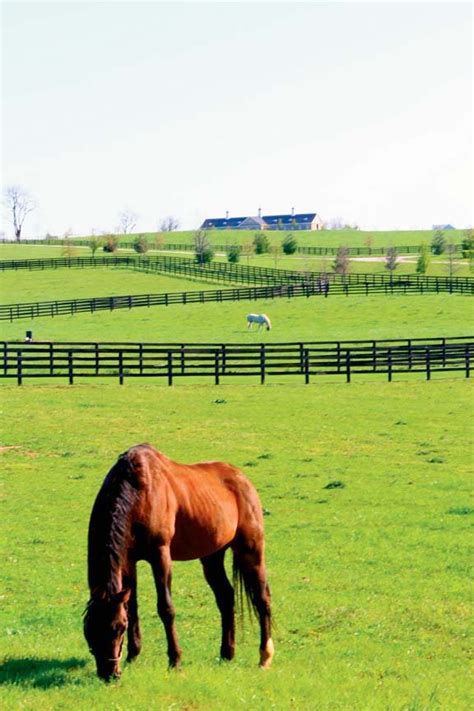 Selling A Central Kentucky Horse Farm Requires Reaching A Different
