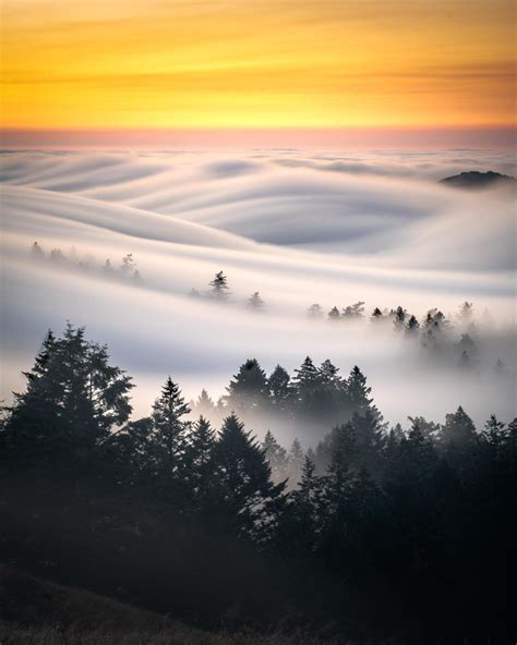 Fog Rolling At Mt Tamalpais San Francisco Ca Amazingly Beautiful