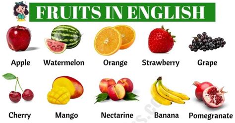 List Of Fruits Learn Common Fruit Names In English Esl Forums
