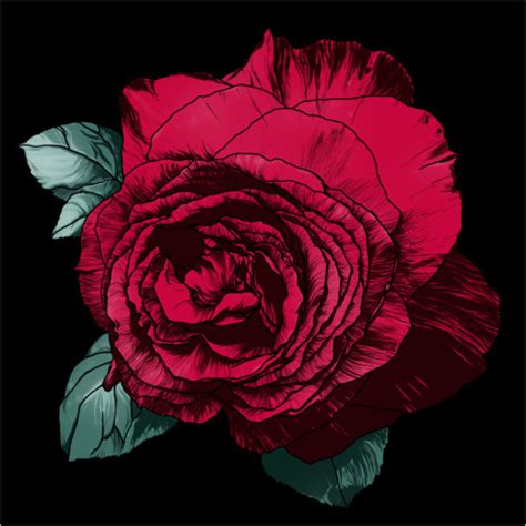 Posters et tableaux de Rose rouge sur fond noir | Posterlounge.fr