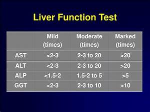 Ppt Liver Function Test Powerpoint Presentation Free Download Id