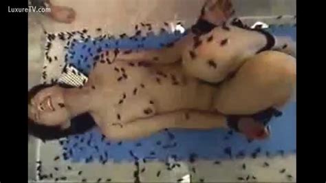 Cockroaches Getting Into The Holes Of Asian Dirty Slut Wife
