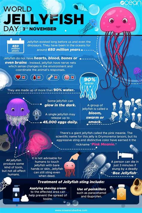 Ancient Beautiful And Deadly Jellyfish Daily Infographic