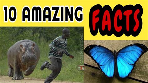 World Most Amazing Facts Youtube