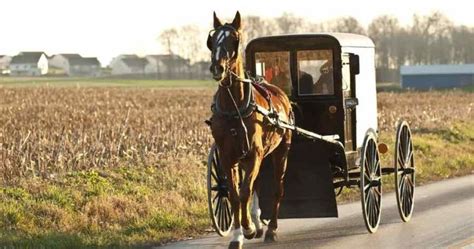 The Horse And Buggy Is Still Popular In Rural America Horse And Buggy