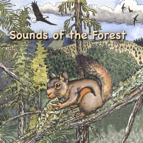 Sounds Of The Forest