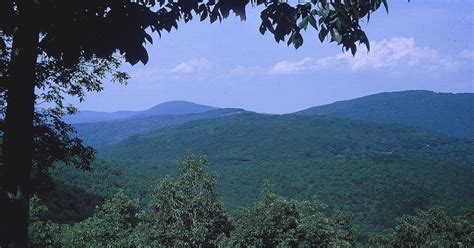 How Many People Disappear In National Parks