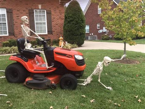 This Guy Decorates His Yard With A New Skeleton Scene Every Day And It