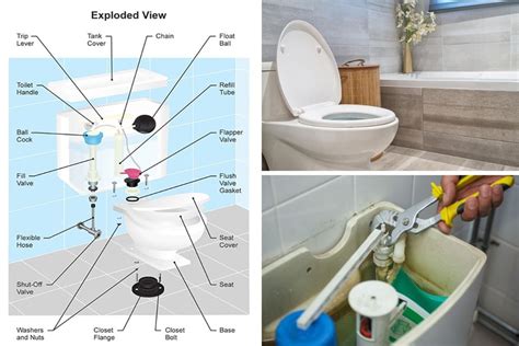 23 Elements Of A Bathroom 2023 Diy Plumbing Information My