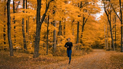Fall Running Wallpapers Top Free Fall Running Backgrounds